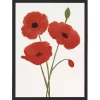 Red Poppies Framed Art Print