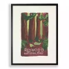 Redwood National Park Framed Art Print