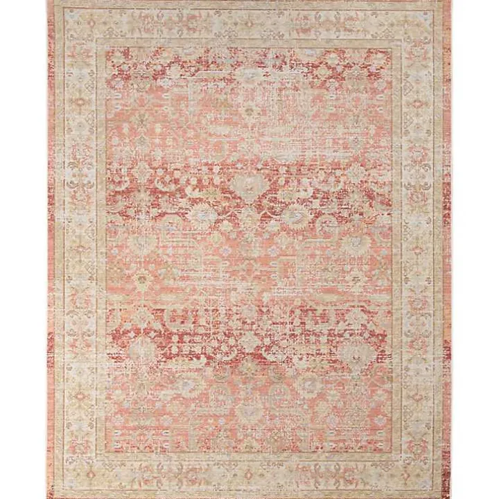 Salmon Vintage Border Area Rug, 5x7
