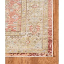 Salmon Vintage Border Area Rug, 5x7
