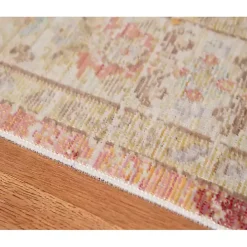 Salmon Vintage Border Area Rug, 5x7