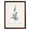 Sida Greenery Black Beaded Framed Art Print