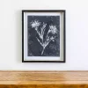 Slate Floral IV Framed Art Print