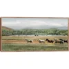 Summer Herd Framed Canvas Art Print
