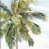 Tall Palm Canvas Art Print, 35x35 in.