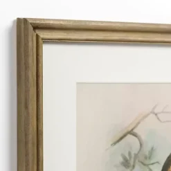 Tengmalm Owl Framed Art Print