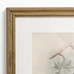 Tengmalm Owl Framed Art Print