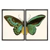 Turquoise Butterfly Framed Art Prints, Set of 2