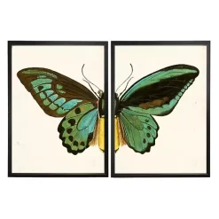 Turquoise Butterfly Framed Art Prints, Set of 2