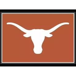University of Texas Area Rug, 4x6