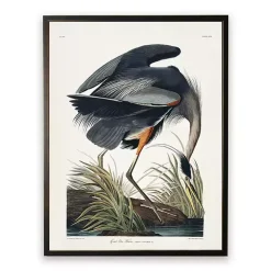 Vintage Blue Heron Bookplate Framed Art Print