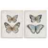 Vintage Butterflies Canvas Art Prints, Set of 2