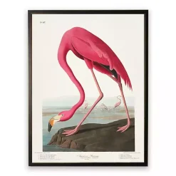 Vintage Flamingo Bookplate Framed Art Print
