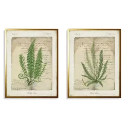 Vintage Green Ferns Framed Art Prints, Set of 2