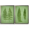 Vintage Green Ferns I Framed Art Prints, Set of 2