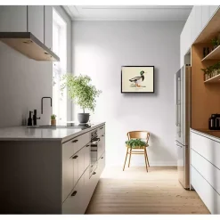 Vintage Male Mallard Duck Framed Art Print