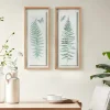 Watercolor Ferns 2-pc. Framed Wall Art