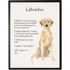 Yellow Labrador Facts Framed Wall Plaque