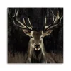 Young Buck Giclee Canvas Art Print, 40x40 in.