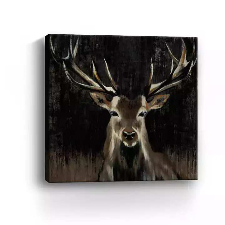 Young Buck Giclee Canvas Art Print, 40x40 in.