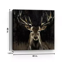 Young Buck Giclee Canvas Art Print, 40x40 in.