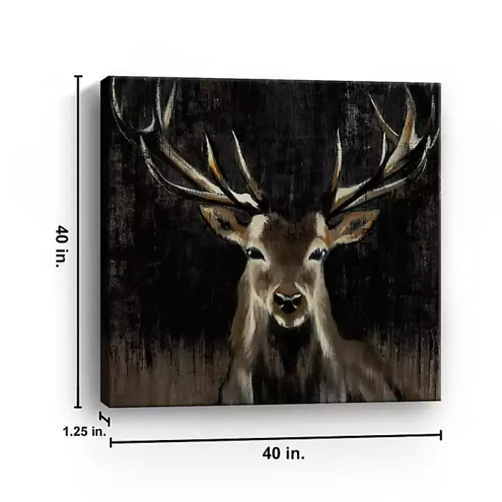 Young Buck Giclee Canvas Art Print, 40x40 in.