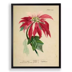 Antique Christmas Poinsettia Framed Art Print