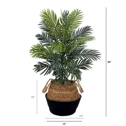Areca Palm Tree in Woven Basket DIY Kit, 3 ft.