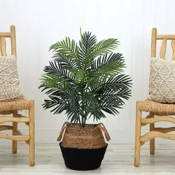 Areca Palm Tree in Woven Basket DIY Kit, 3 ft.