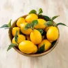 Artificial Lemons, Set of 12