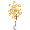 Autumn Birch Tree in Decorative Planter, 4 ft.