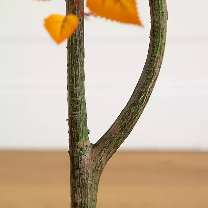 Autumn Birch Tree in Decorative Planter, 4 ft.