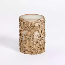 Birch Tree Bark Pillar Candle, 4x6 in.