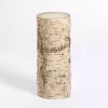 Birch Tree Bark Pillar Candle, 4x8 in.
