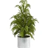 Cedar Pine Mini Tree in Corrugated Metal Planter