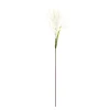 Cream Astible Stems, Set of 6
