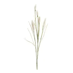 Cream Foxtail Sprays, Set of 6
