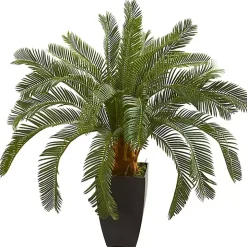 Cycas Floor Plant in Tall Black Planter, 30 in.