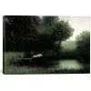 Diving Pig Canvas Art Print