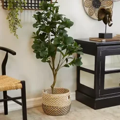 Douban Green in Ribbed Rock Planter