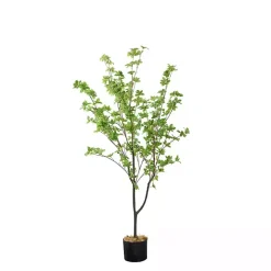 Douban Tree in Black Pot, 5 ft.