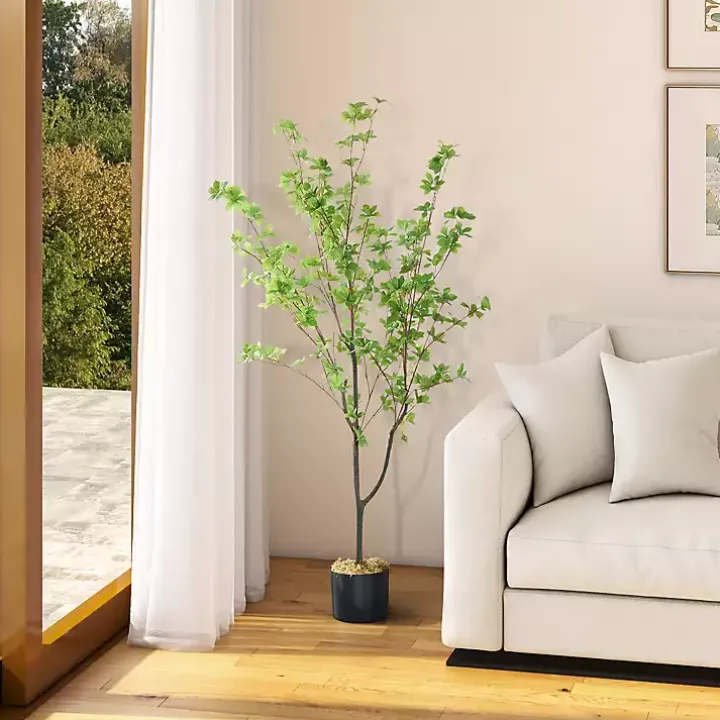 Douban Tree in Black Pot, 5 ft.