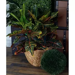 Dutch Woven Seagrass Baskets, Set of 4