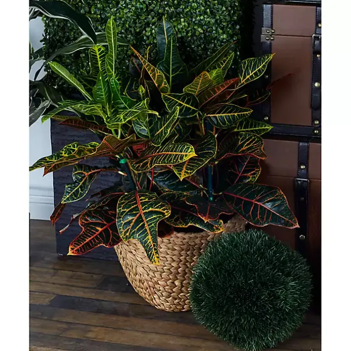 Dutch Woven Seagrass Baskets, Set of 4