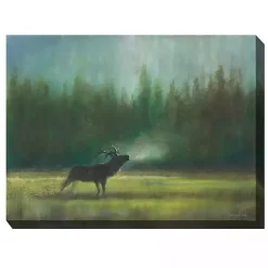 Elk in the Wild Outdoor Canvas Art Print