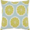 Embroidered Fruity Citrus Pillow