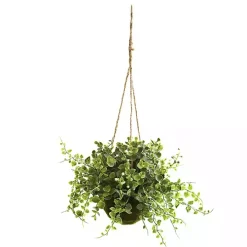 Eucalyptus and Berry Hanging Baskets, Set of 3