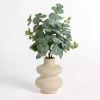 Eucalyptus Arrangement in Bubble Vase