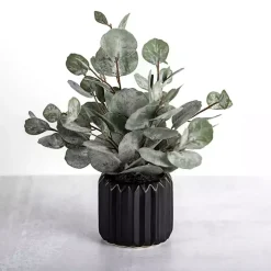 Eucalyptus Arrangement in Black Planter