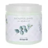 Eucalyptus Leaves Odor Absorber